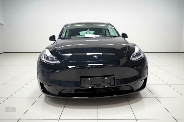 Tesla Model Y 2022 car image #3