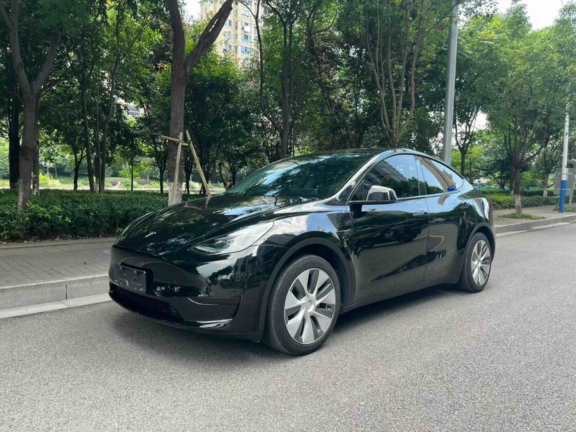 Tesla Model Y 2024 car image 