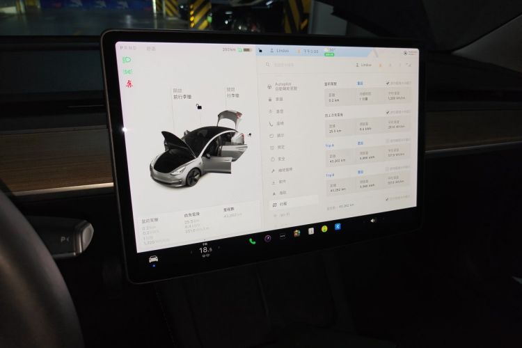 Tesla Model 3 2021 #13 Tesla Model 3 2021 immagine di auto #13