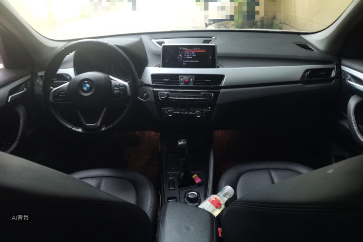 BMW X1 2016 car image #11