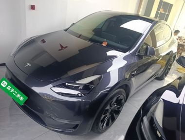 Tesla Model Y 2024 Tesla Model Y 2024 car image