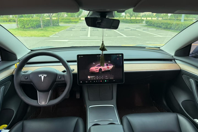 Tesla Model 3 2022 #8 Tesla Model 3 2022 car image #8