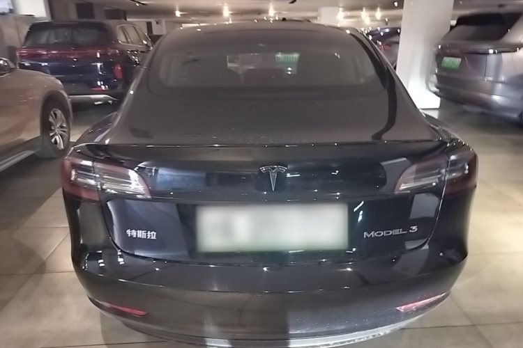 Tesla Model 3 2020 #6 Tesla Model 3 2020 car image #6