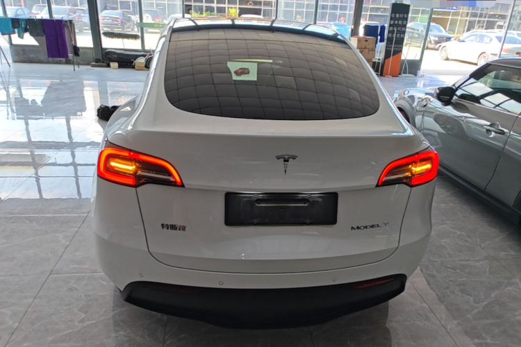 Tesla Model Y 2023 #6 Tesla Model Y 2023 car image #6