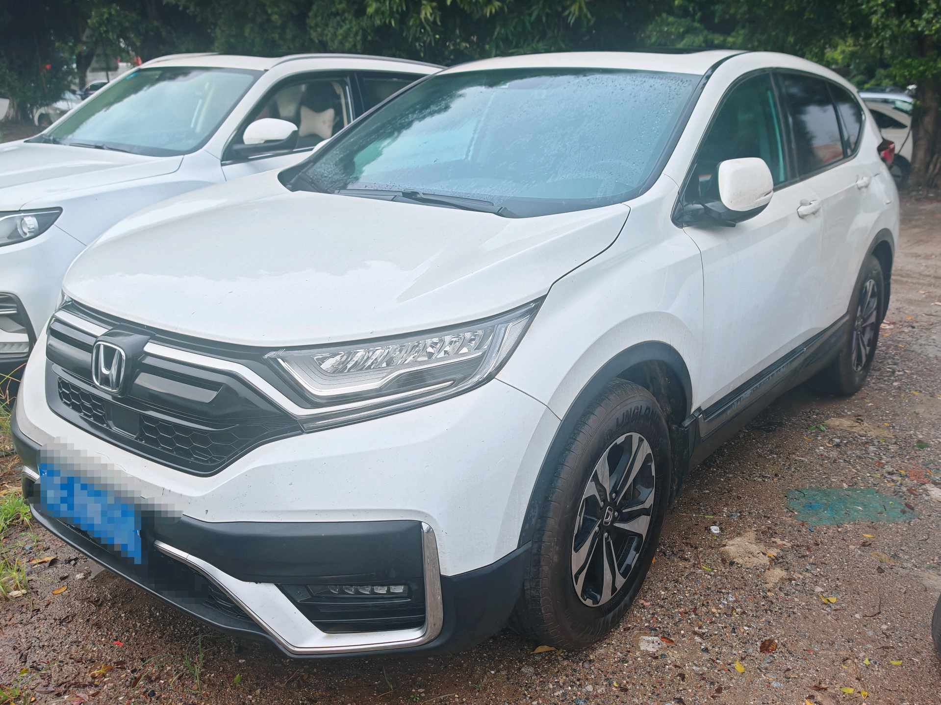 Honda CR-V 2022 Honda CR-V 2022 car image