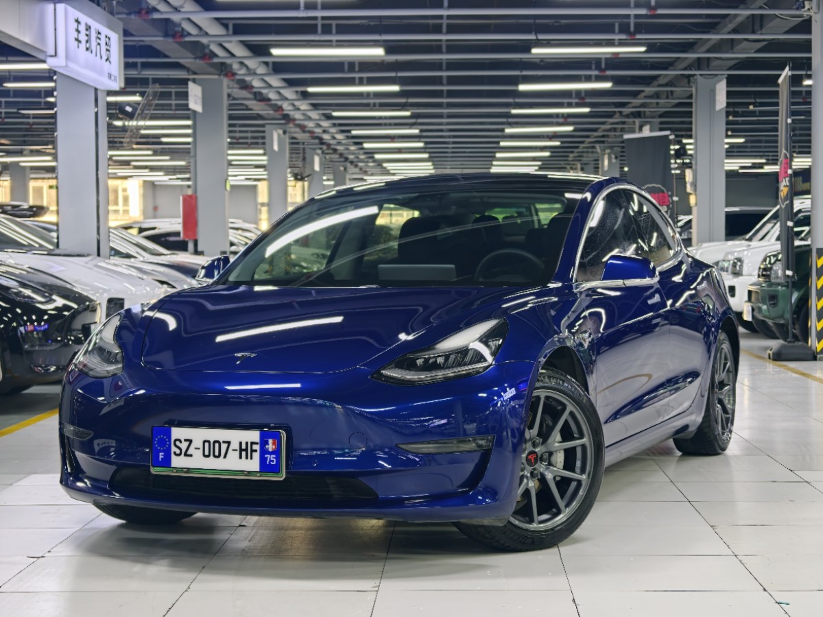 Tesla Model 3 2020 Tesla Model 3 2020 car image