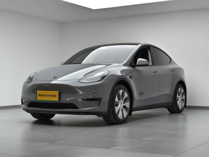 Tesla Model Y 2023 Tesla Model Y 2023 car image