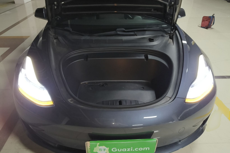 Tesla Model 3 2020 car image #20