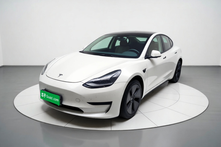 Tesla Model 3 2021 #2 Tesla Model 3 2021 car image #2
