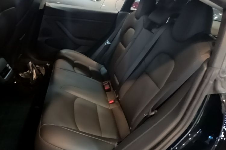 Tesla Model 3 2021 #17 Tesla Model 3 2021 car image #17