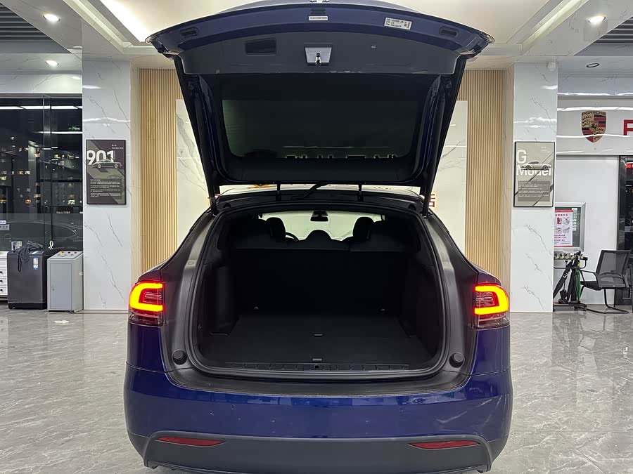 Tesla Model X 2021 #44 Tesla Model X 2021 car image #44