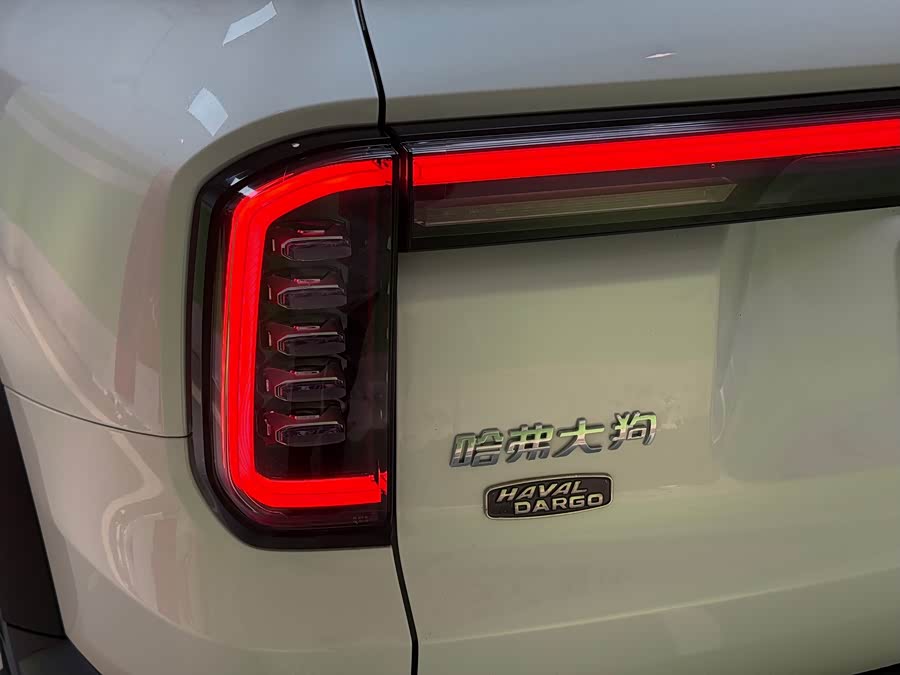 Haval X Dog / Dargo 2024 immagine di auto #44