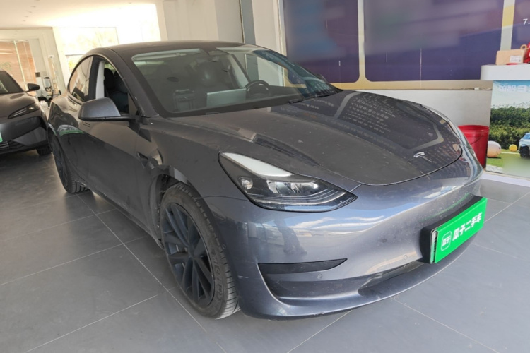 Tesla Model 3 2021 car image #4