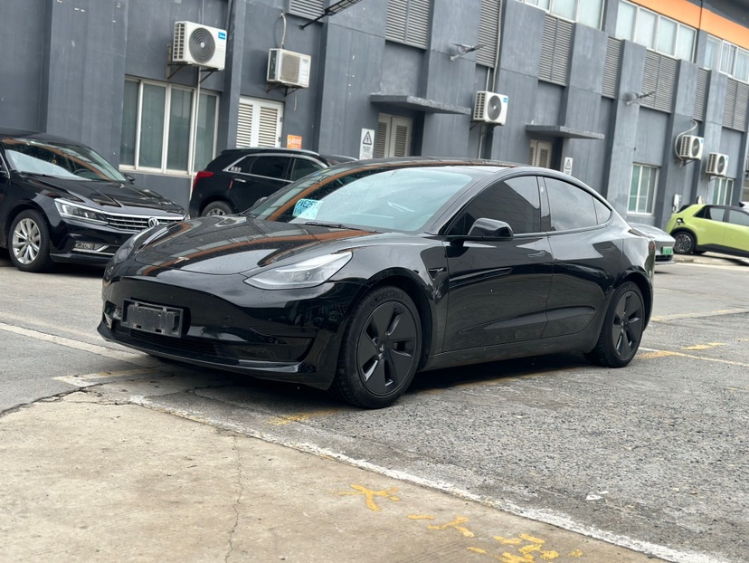 Tesla Model 3 2021 Tesla Model 3 2021 car image