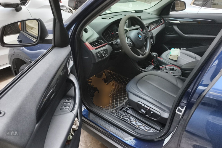 BMW X1 2017 car image #18