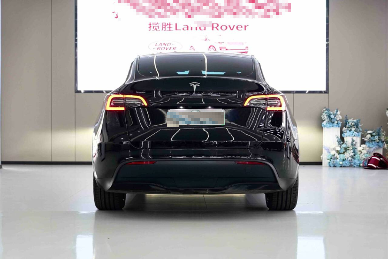 Tesla Model Y 2023 #7 Tesla Model Y 2023 car image #7