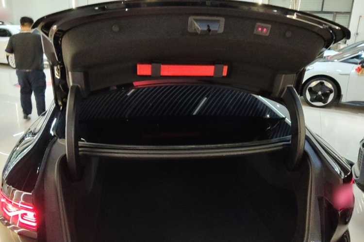 BYD Han 2024 car image #19