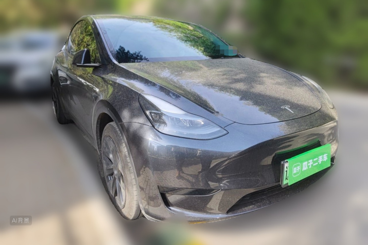 Tesla Model Y 2024 car image #4