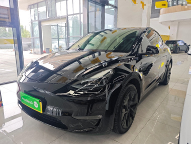 Tesla Model Y 2024 Tesla Model Y 2024 car image