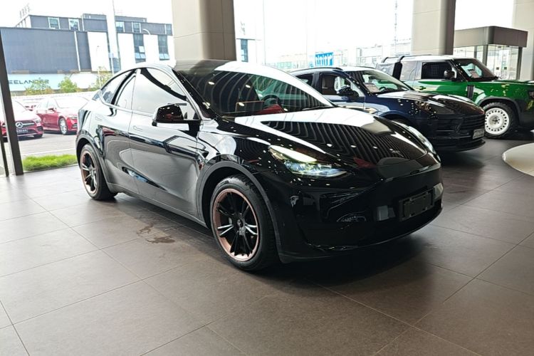 Tesla Model Y 2022 #6 Tesla Model Y 2022 car image #6