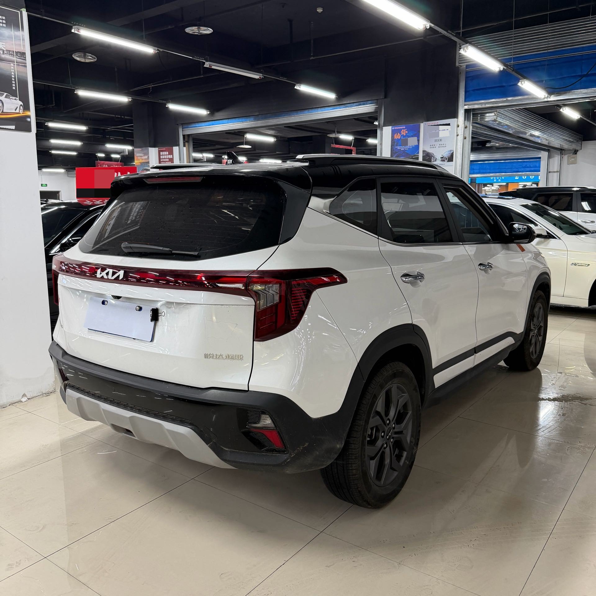 Kia Seltos 2023 immagine di auto #6
