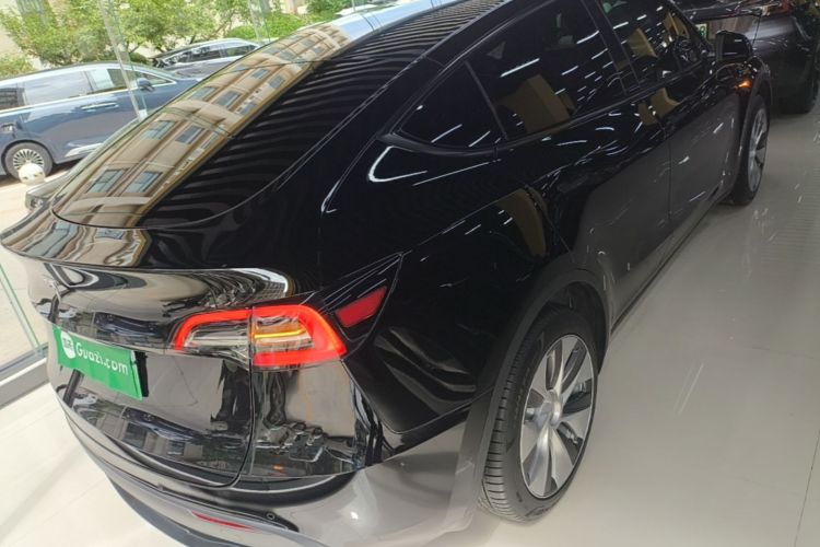 Tesla Model Y 2023 car image #6