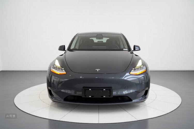 Tesla Model Y 2021 car image #3