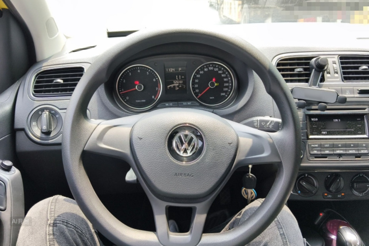 Volkswagen Polo 2016 car image #12