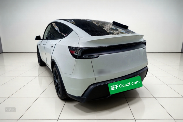 Tesla Model Y 2025 car image #5