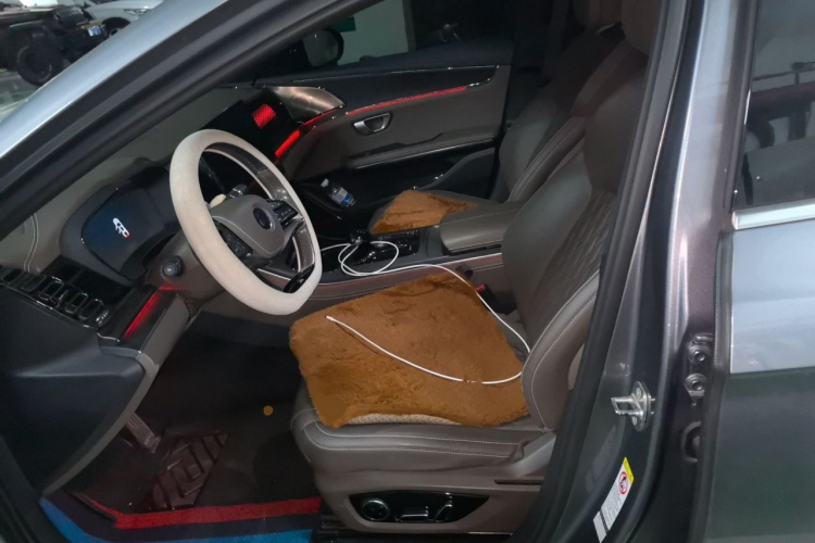 BYD Han 2021 #19 BYD Han 2021 immagine di auto #19