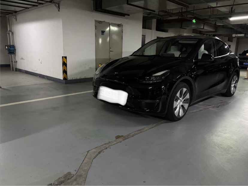Tesla Model Y 2022 Tesla Model Y 2022 car image