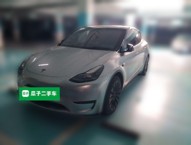 Tesla Model Y 2022 Tesla Model Y 2022 car image
