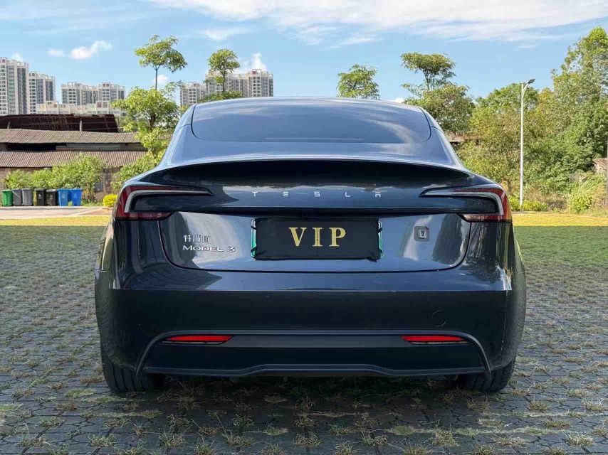 Tesla Model 3 2024 #5 Tesla Model 3 2024 car image #5
