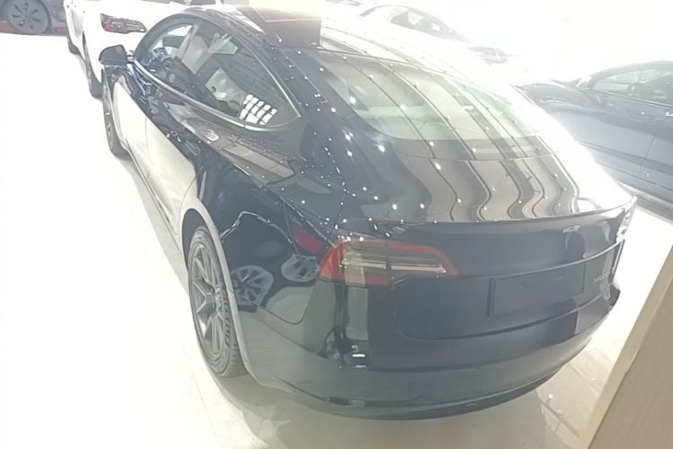 Tesla Model 3 2022 car image #6