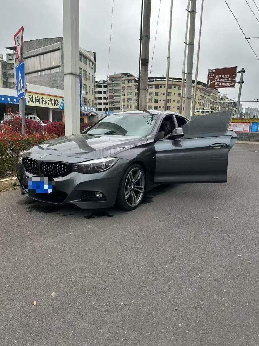 BMW 3 Series GT 2019 car image #5