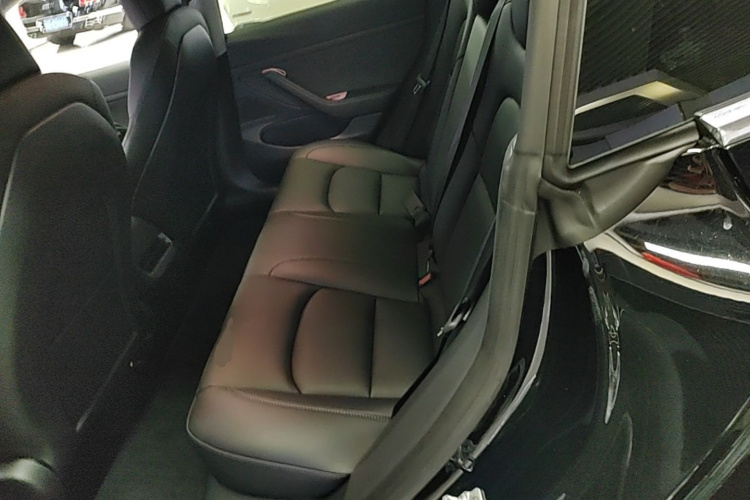 Tesla Model 3 2020 #17 Tesla Model 3 2020 car image #17