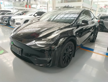 Tesla Model Y 2021 car image 