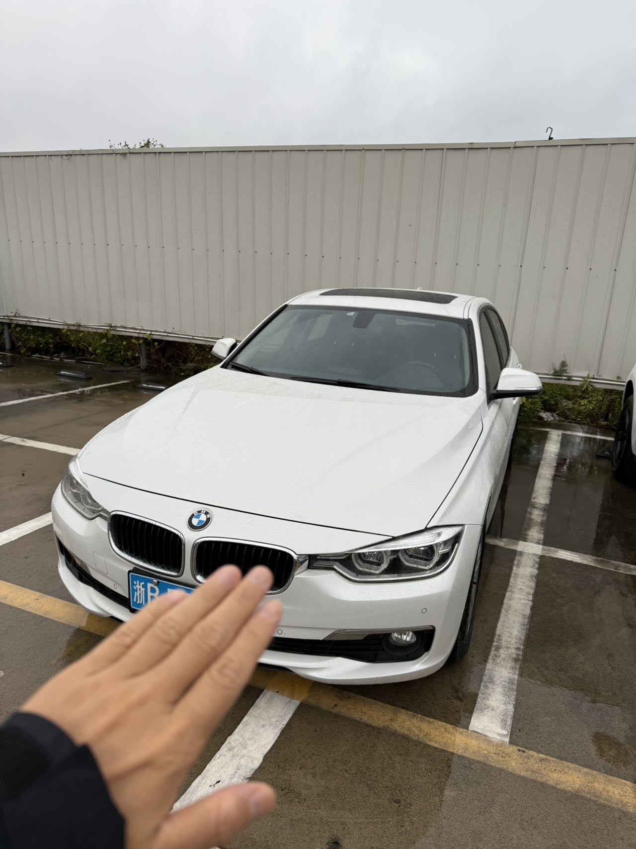 BMW 3 Series 2017 BMW 3 Series 2017 car image