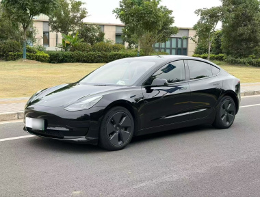 Tesla Model 3 2023 Tesla Model 3 2023 car image