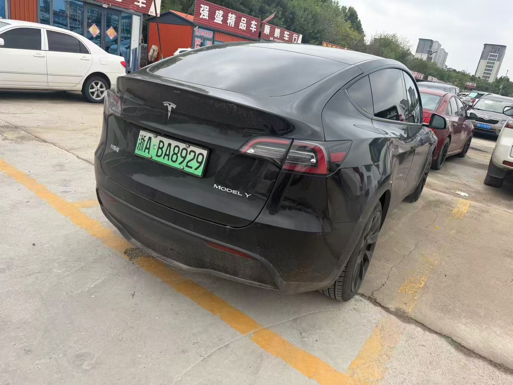 Tesla Model Y 2021 #9 Tesla Model Y 2021 car image #9