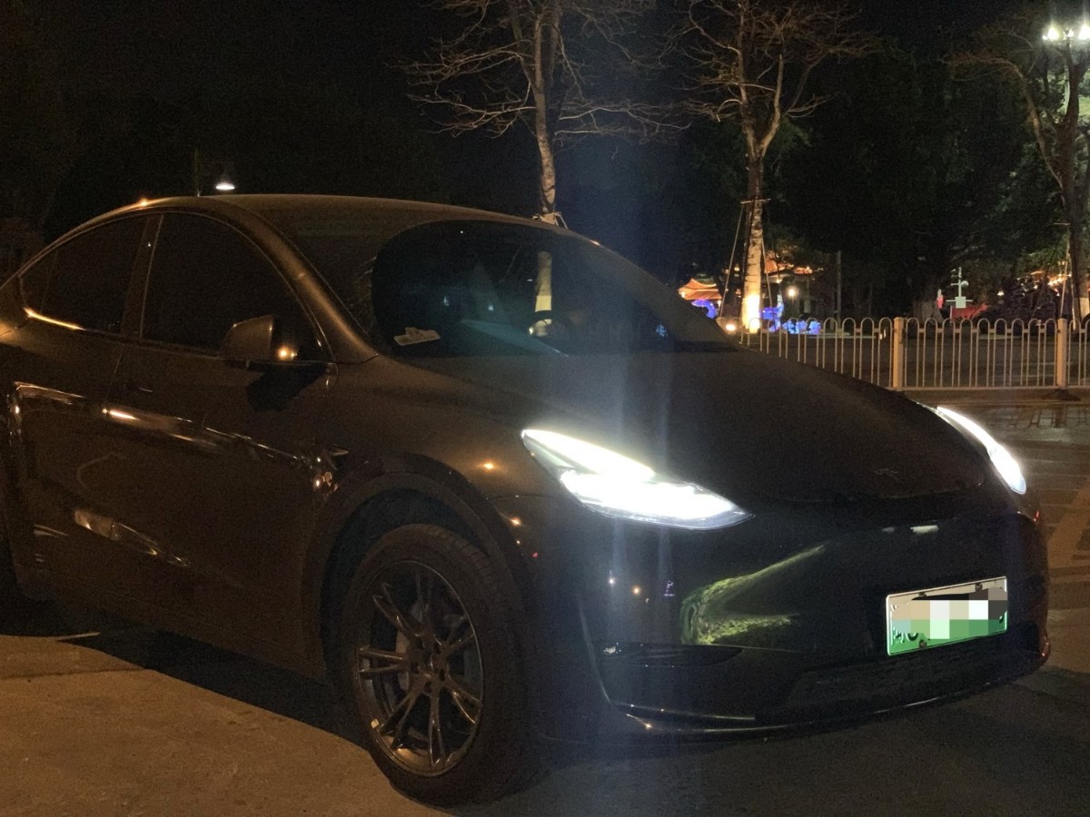 Tesla Model Y 2024 car image #4
