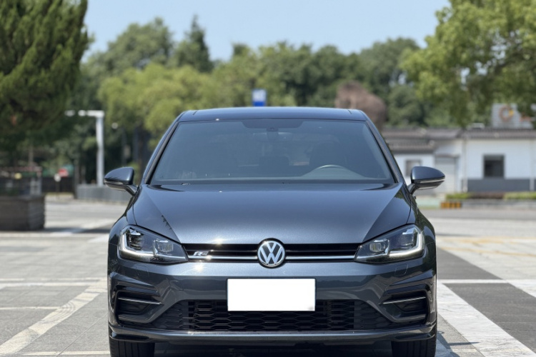 Volkswagen Golf 2019 car image #10