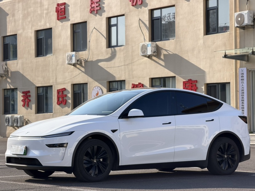 Tesla Model Y 2025 car image 