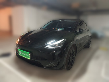 Tesla Model Y 2024 car image 