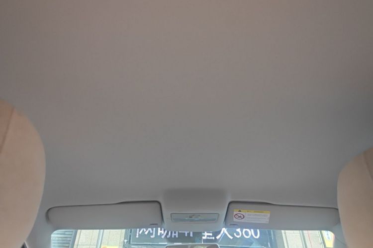 Volkswagen Polo 2016 car image #16