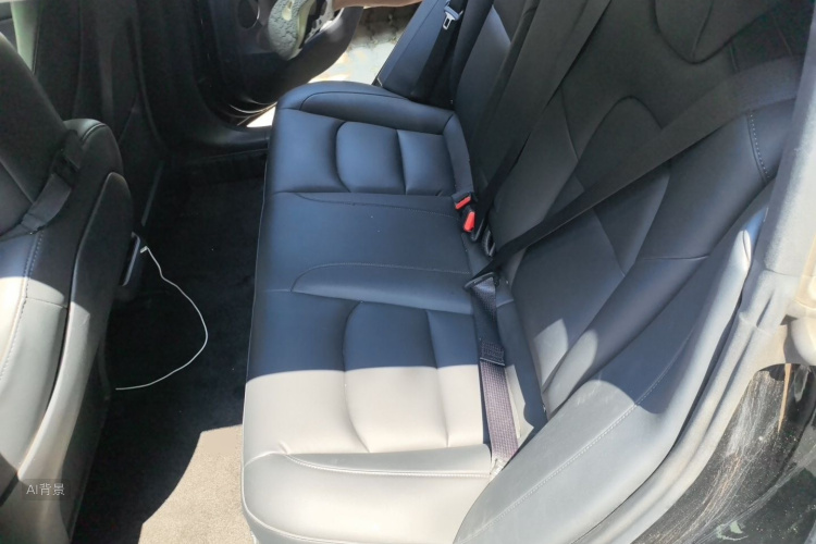 Tesla Model 3 2021 #19 Tesla Model 3 2021 car image #19