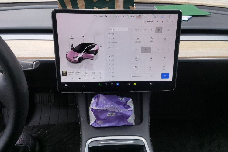 Tesla Model 3 2023 car image #17