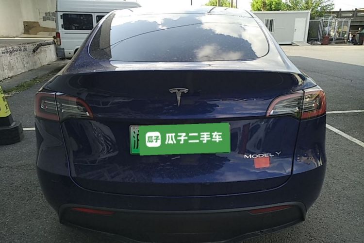 Tesla Model Y 2021 car image #6