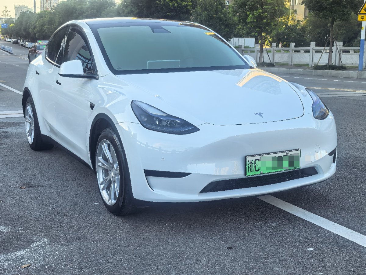Tesla Model Y 2023 #3 Tesla Model Y 2023 car image #3