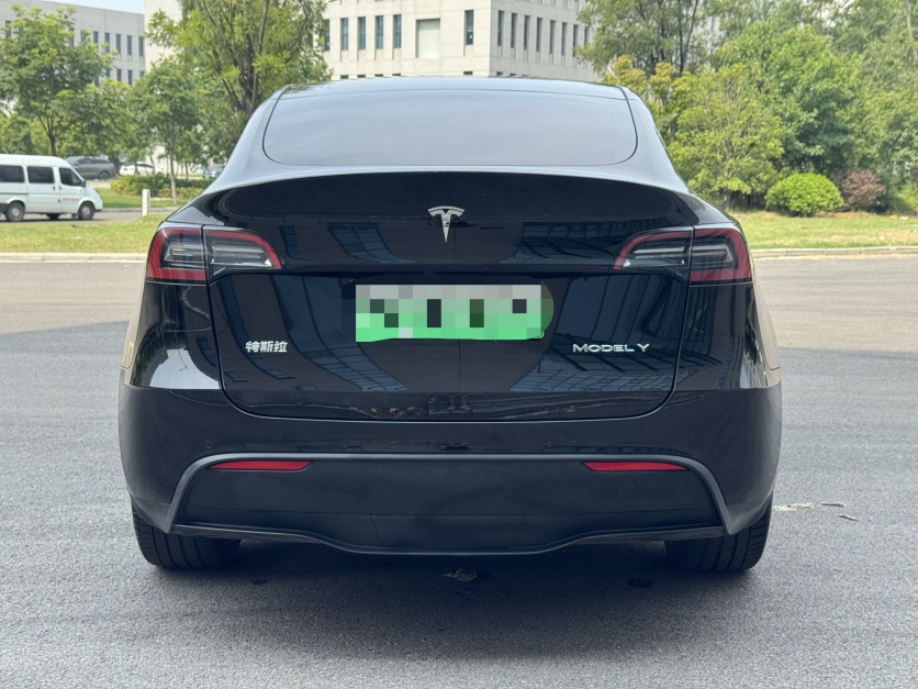 Tesla Model Y 2021 car image #4